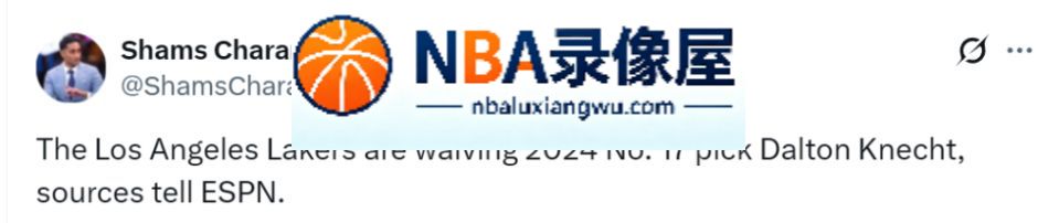 克内克特,湖人,湖人正式裁掉克内克特,湖人阵容名单,湖人最新消息,马克·威廉姆斯,东契奇,里夫斯,凯斯勒